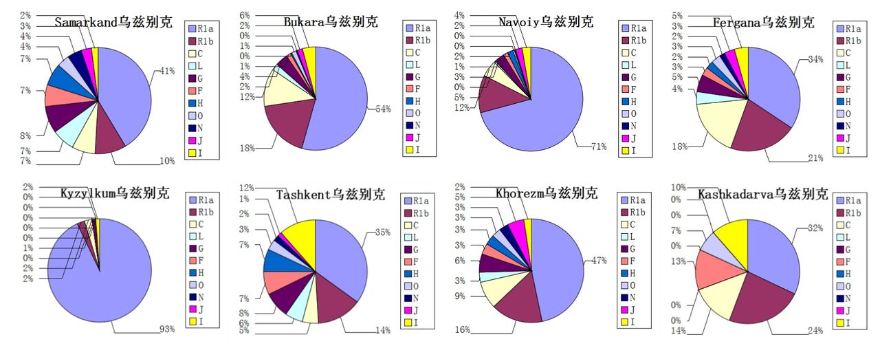 乌兹别克族基因更正 乌兹别克族基因更正
