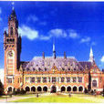 海牙国际法学院 海牙国际法学院