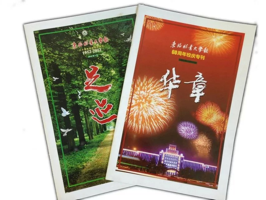 校报专刊 校报专刊