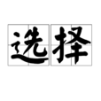 选择(词语) 选择(词语)