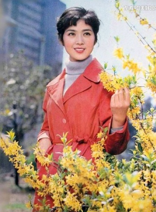 龚雪