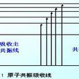 共振吸收