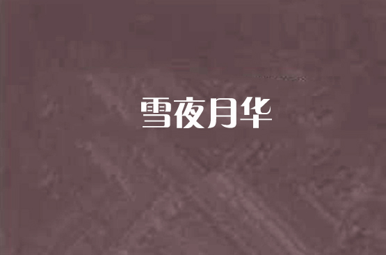 雪夜月华