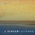 请您欣赏