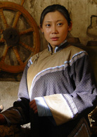 风满楼(2004年张敏吴奇隆主演电视剧)