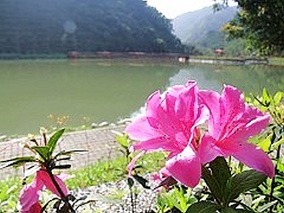 员山温泉