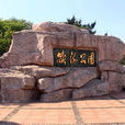 威海公园 威海公园