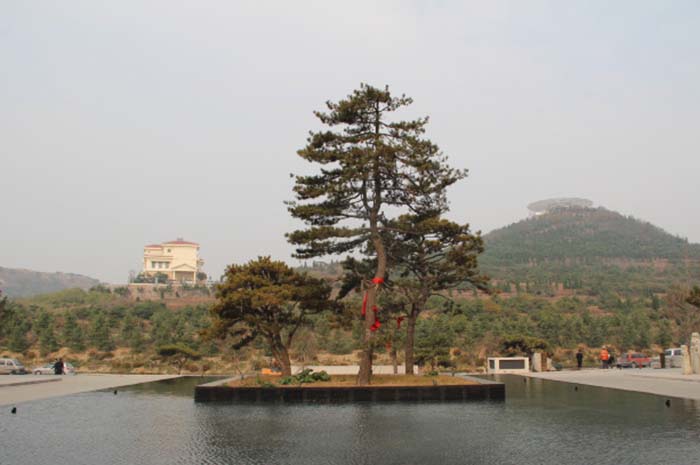 凤凰山(山东省青岛市凤凰山) 凤凰山(山东省青岛市凤凰山)
