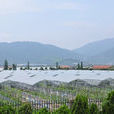 庙桥社区(浙江省舟山市岱山县小沙镇庙桥社区) 庙桥社区(浙江省舟山市岱山县小沙镇庙桥社区)