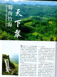 江安竹海 江安竹海