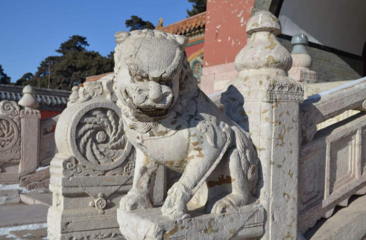清昭陵石狮 清昭陵石狮