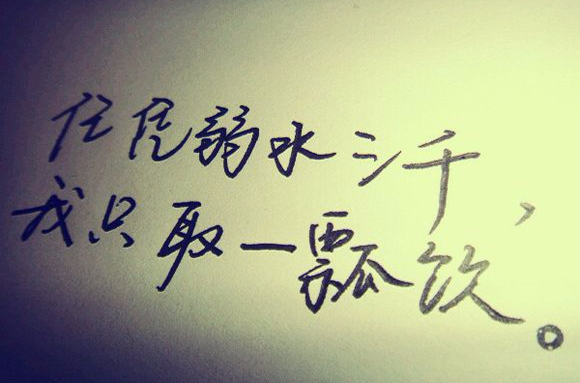 弱水三千只取一瓢