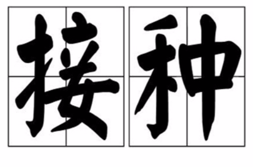 接种(医学术语)