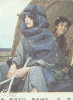 龚雪(中国内地女演员)