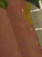 王红军
