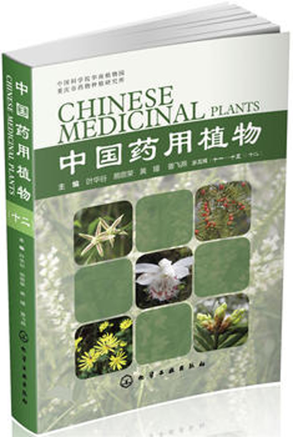 中国药用植物(十二) 中国药用植物(十二)