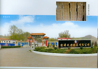辽源矿业(集团)有限公司 辽源矿业(集团)有限公司