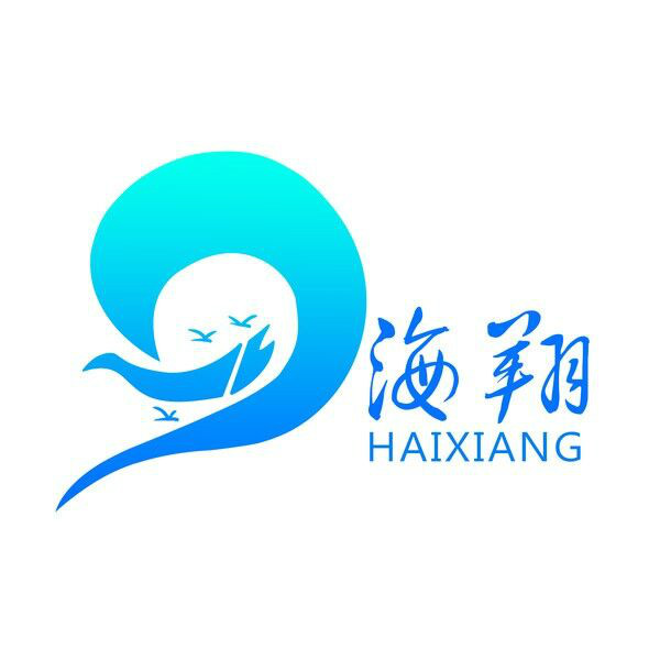 海翔支教团
