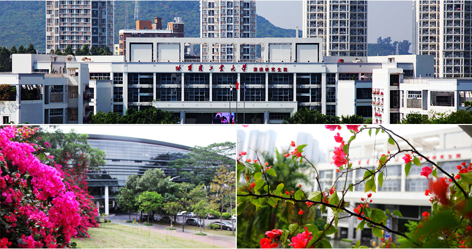 哈尔滨工业大学（深圳）