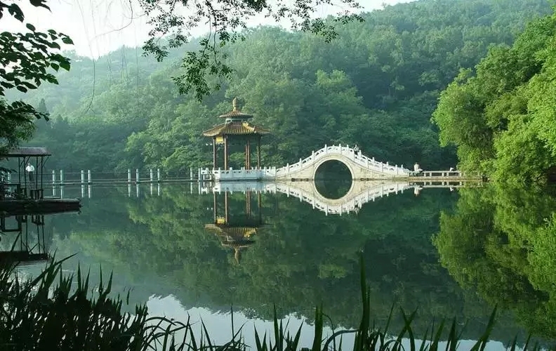 颍上县