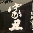 家丑(1994年何冰主演电影)