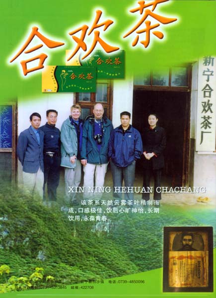 合欢茶 合欢茶