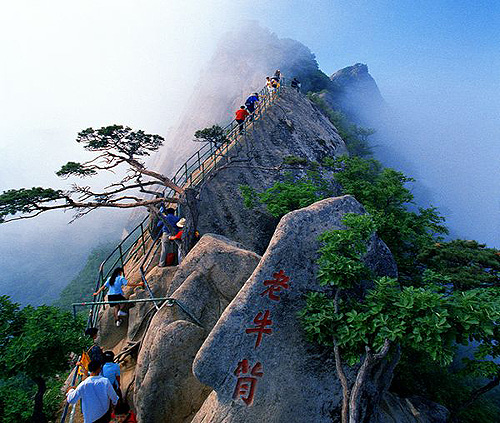 凤凰山景区(湘西镇凤凰山景区)