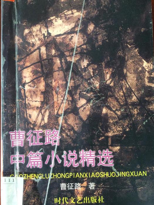 曹征路中篇小说精选 曹征路中篇小说精选