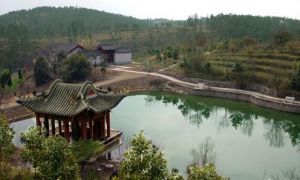 丽华花卉园 丽华花卉园