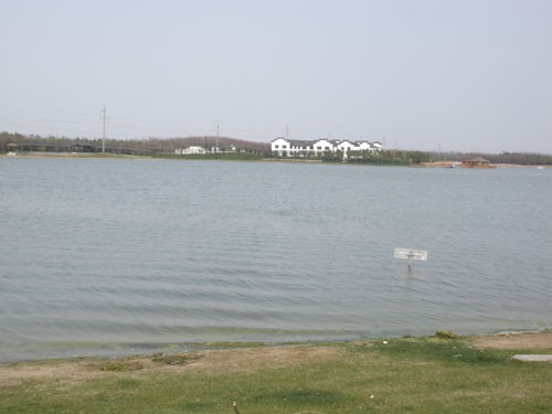 白鸟湖