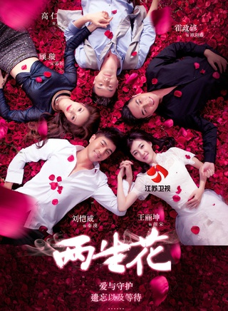 刘一含(中国内地80后女演员)