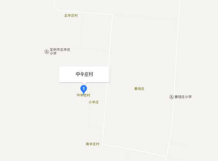 中辛庄村(河北省定州市东旺镇下辖村) 中辛庄村(河北省定州市东旺镇下辖村)