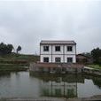 龙泉村(河南新乡县七里营镇龙泉村) 龙泉村(河南新乡县七里营镇龙泉村)
