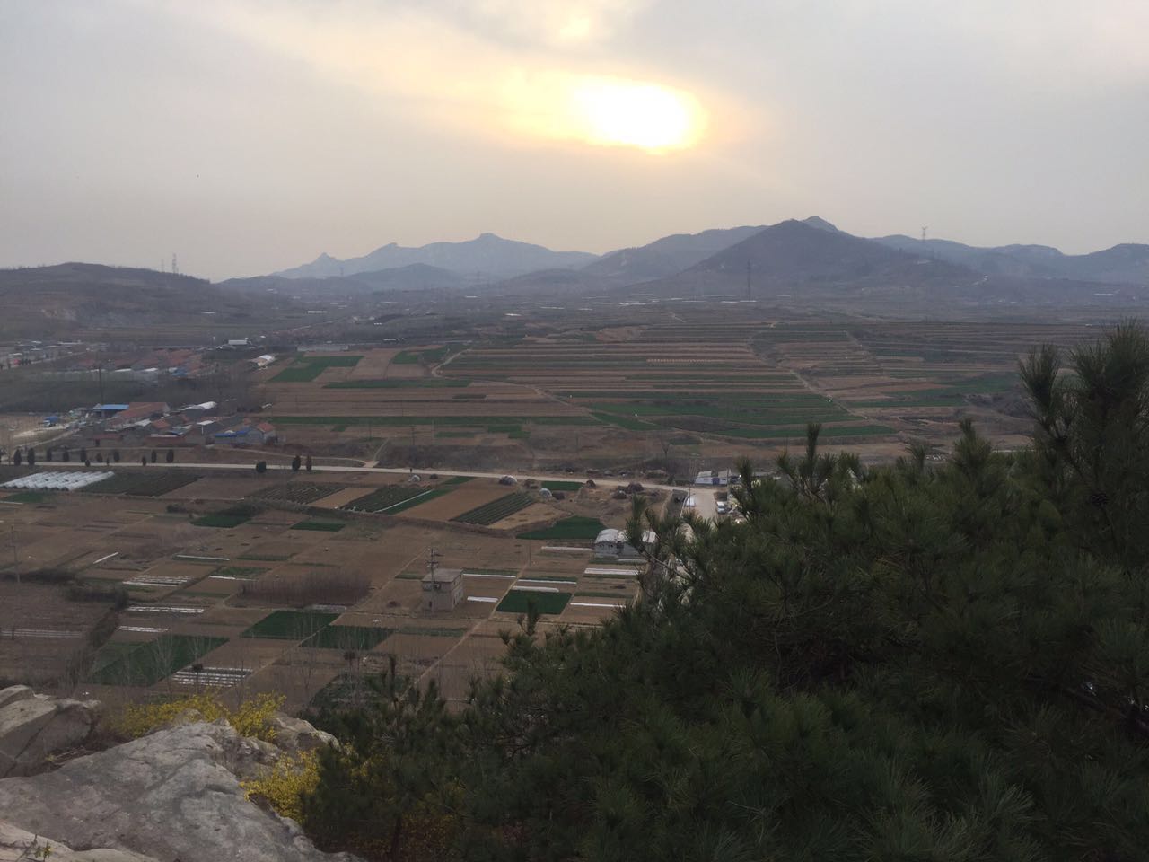 团山子村(山东省日照市东港区团山子村) 团山子村(山东省日照市东港区团山子村)