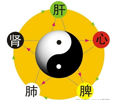 中医五脏养生 中医五脏养生