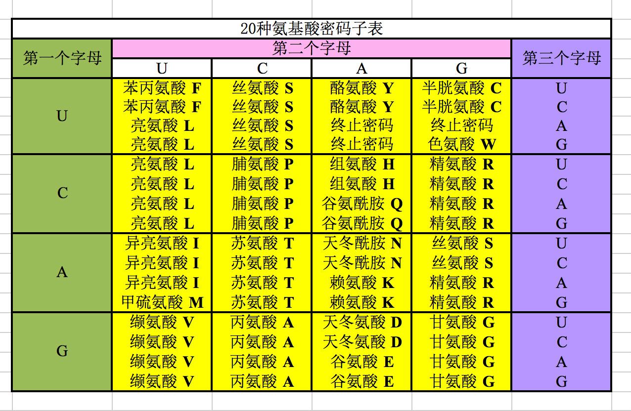 密码子表 密码子表