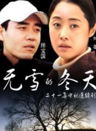 丁志诚