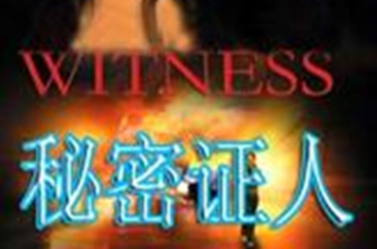 秘密证人 秘密证人