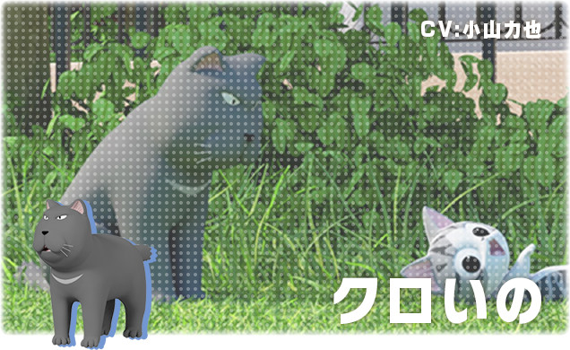 甜甜私房猫