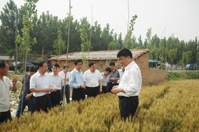 八岗乡 八岗乡