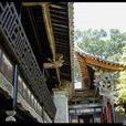 团山村(云南建水县西庄镇下辖村) 团山村(云南建水县西庄镇下辖村)