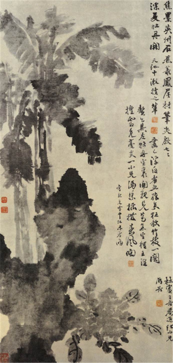 牡丹蕉石图 牡丹蕉石图
