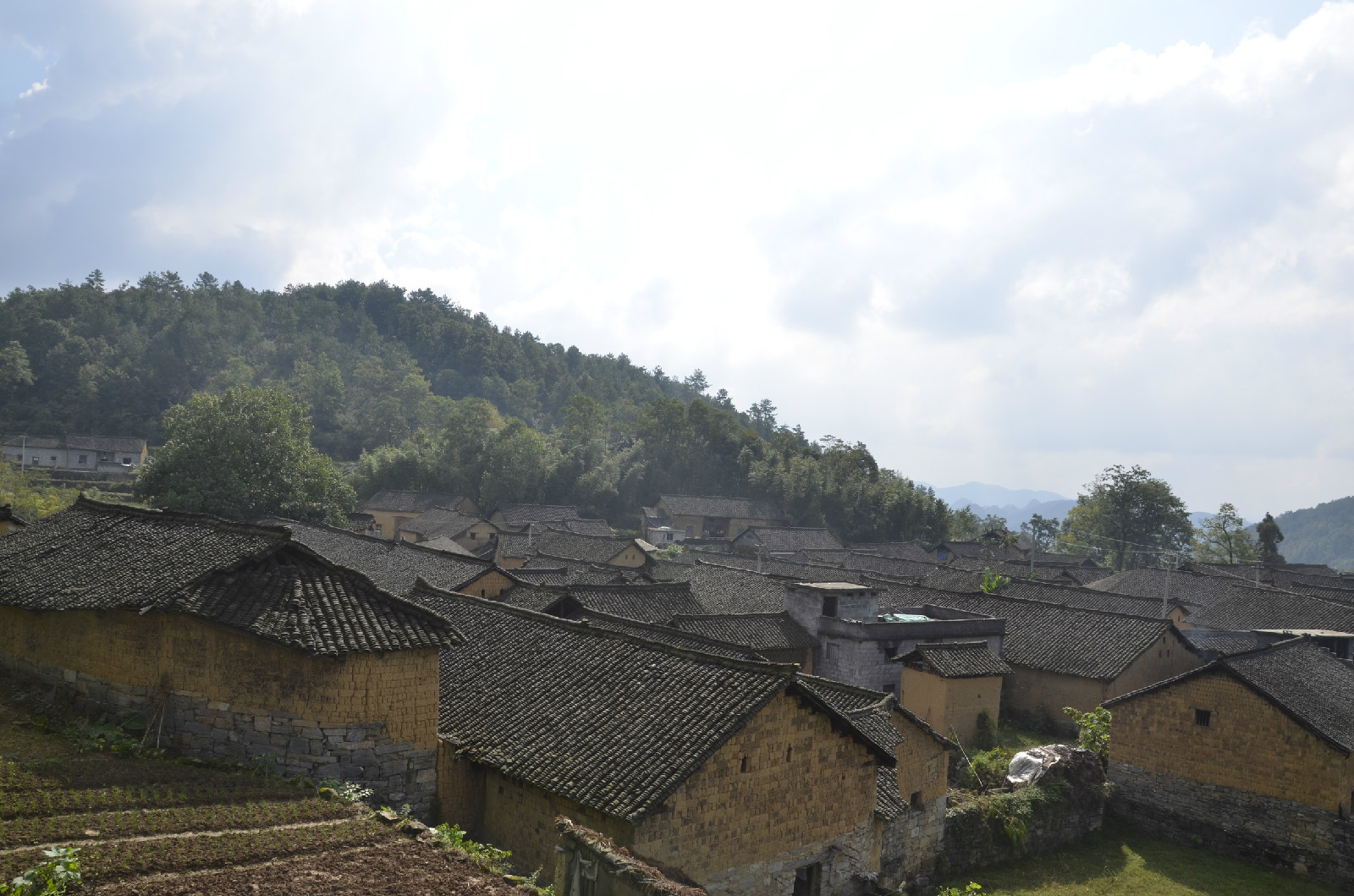 新光村(凤凰县山江镇新光村)