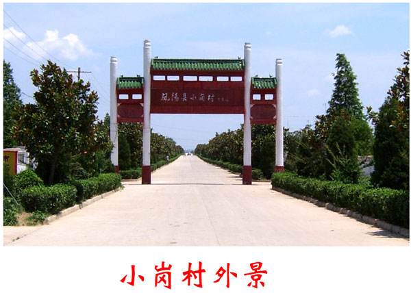 小岗村(贵州遵义习水县永安镇小岗村)