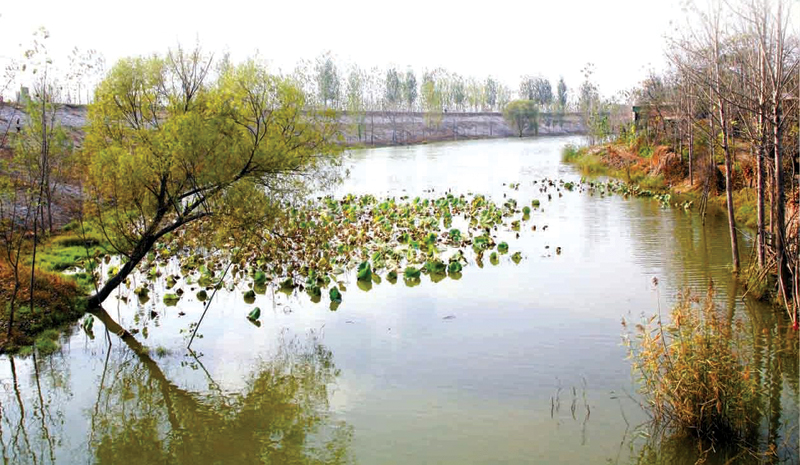 京杭大运河东平戴庙段