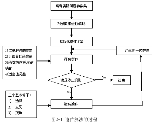 遗传过程 遗传过程