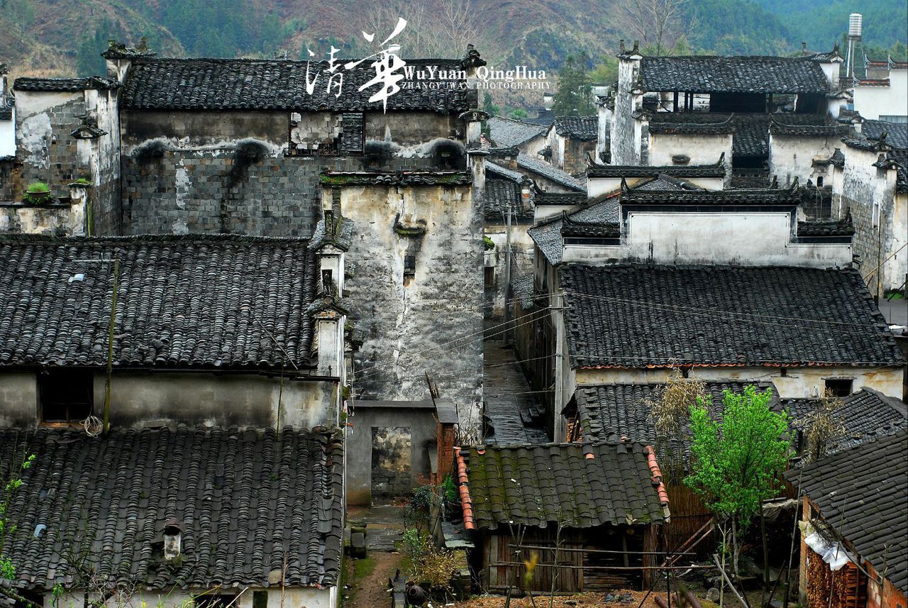 清华村