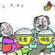 养老金基数 养老金基数