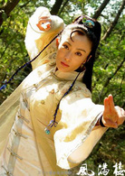风满楼(2004年张敏吴奇隆主演电视剧)
