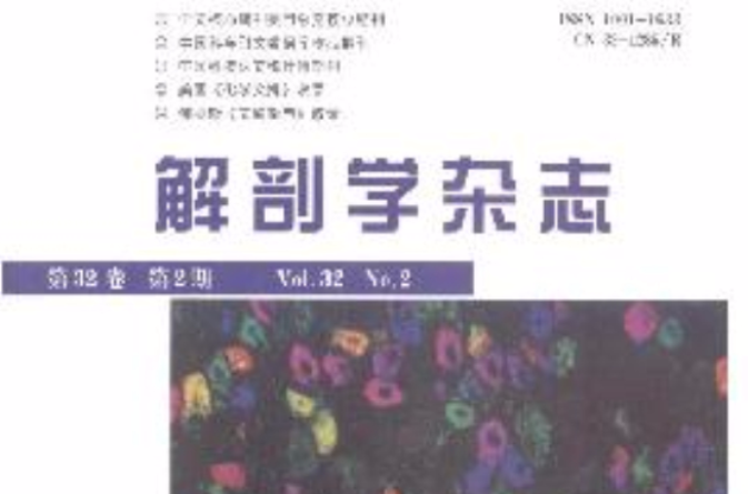 解剖学杂誌 解剖学杂誌